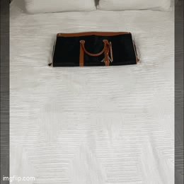 VACKS 에센셜 더플백