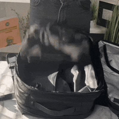 VACKS 프리미엄 진공백팩